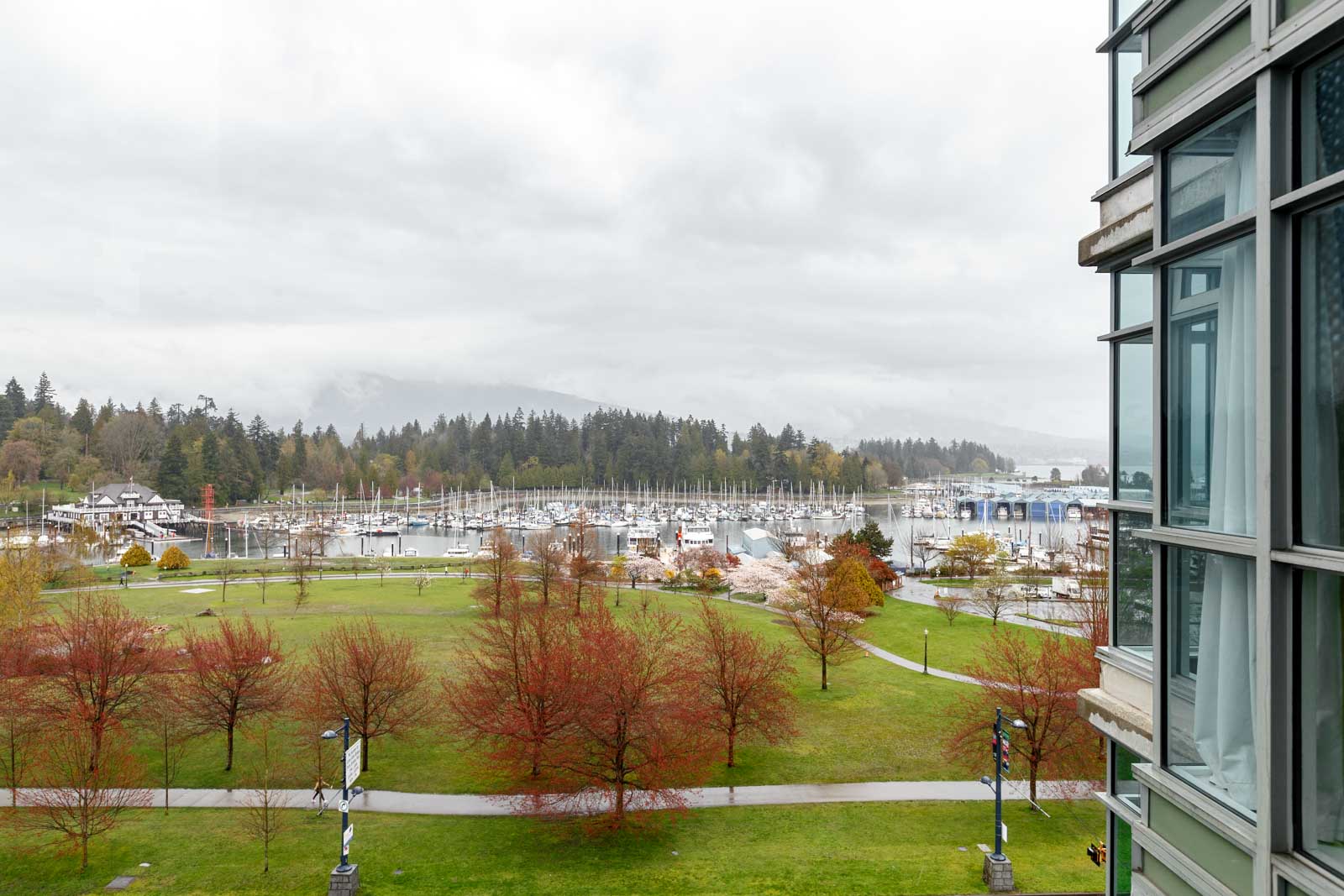 View of a marina with numerous boats, a park with trees showing autumn colors, and a glass building on the right under a cloudy sky.