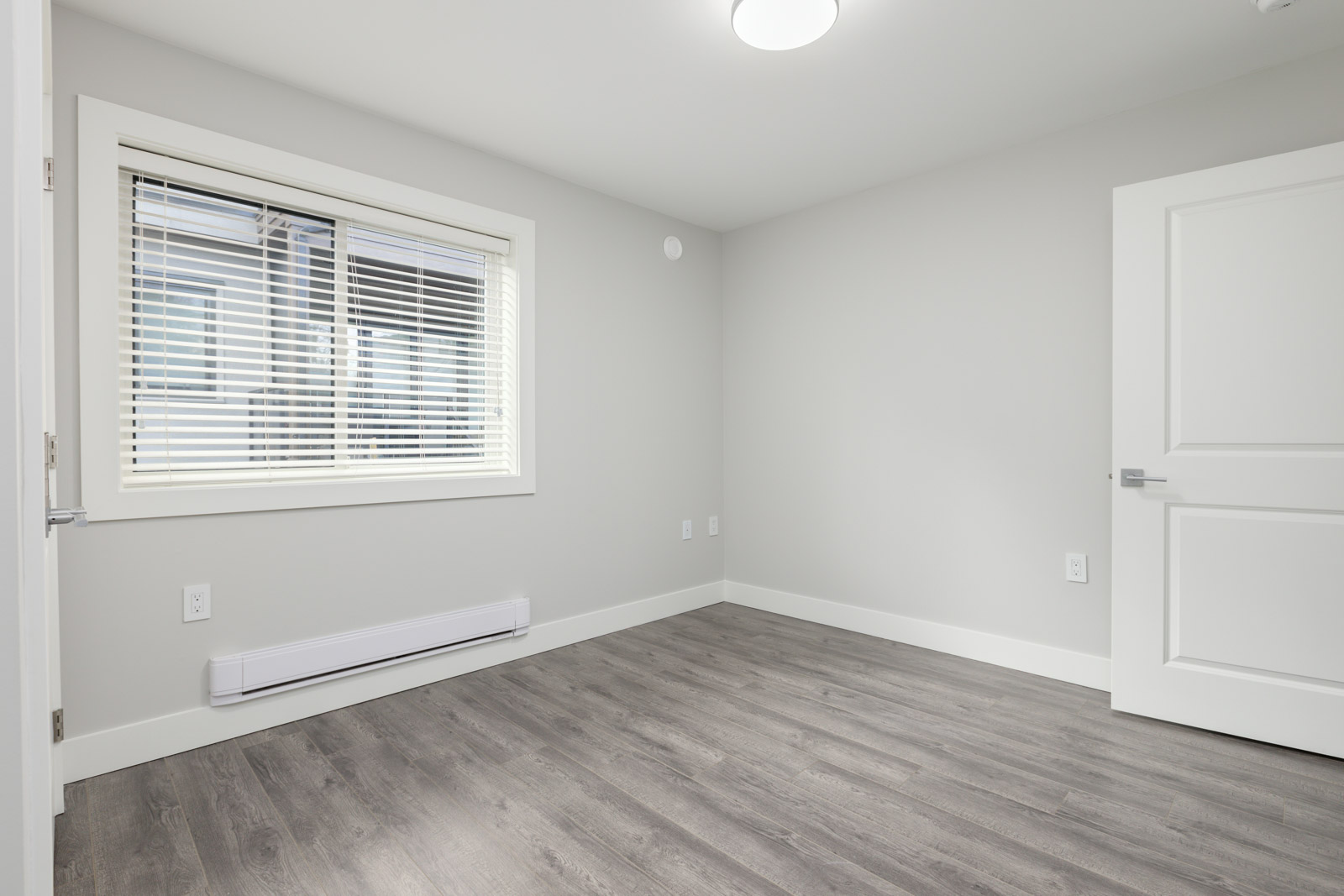 Empty room with light gray walls, a window with white blinds, white baseboards, wood-look flooring, and a closed white door.