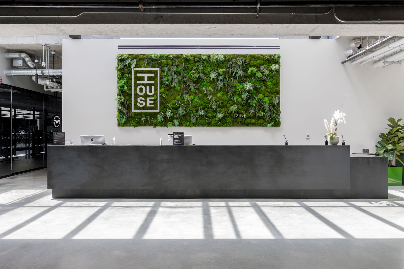 A modern office reception area with a long black desk, green living wall art with the word 