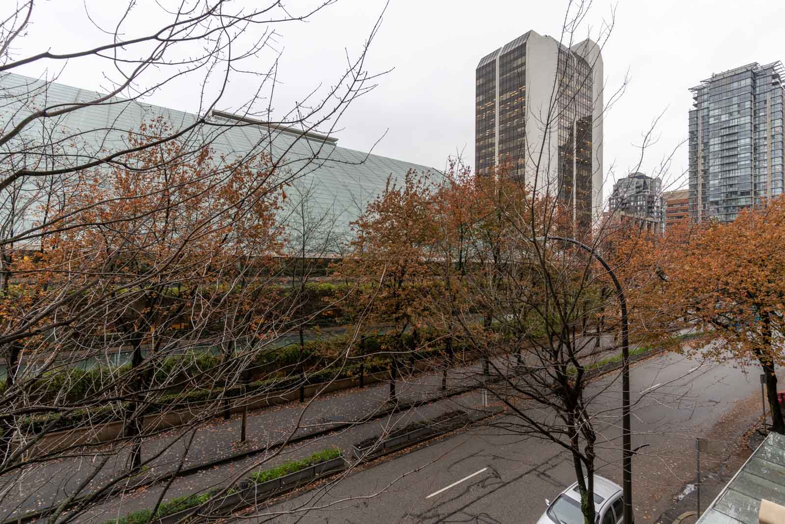 A city street lined with bare trees, wet pavement, and modern buildings in the background on an overcast day.