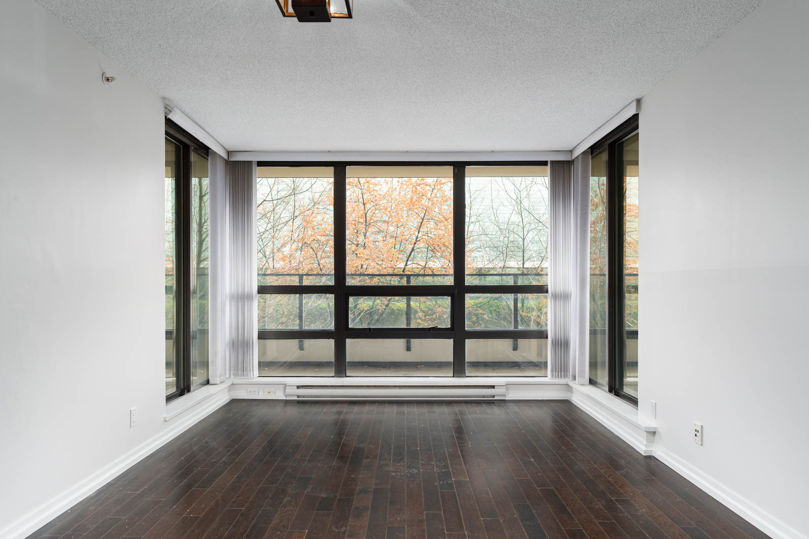 Unfurnished room with dark hardwood floors, white walls, and large floor-to-ceiling windows showing autumn trees outside.