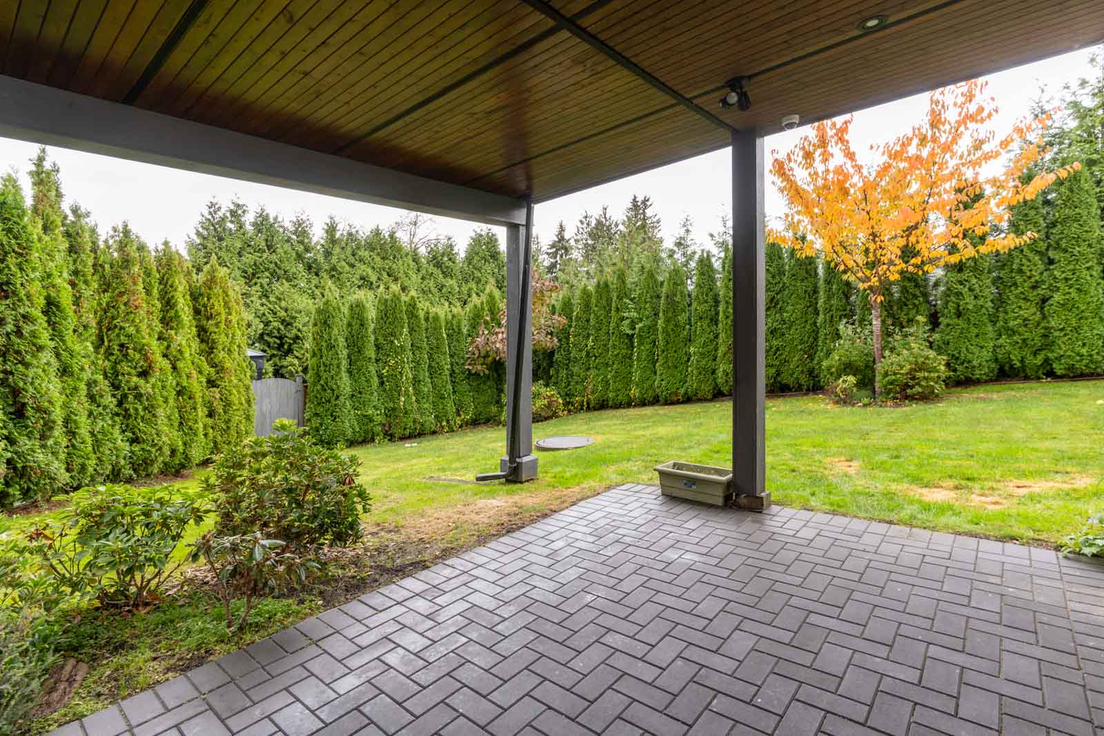 Covered patio with brick flooring overlooking a grassy backyard bordered by tall evergreen hedges and a tree with orange leaves.