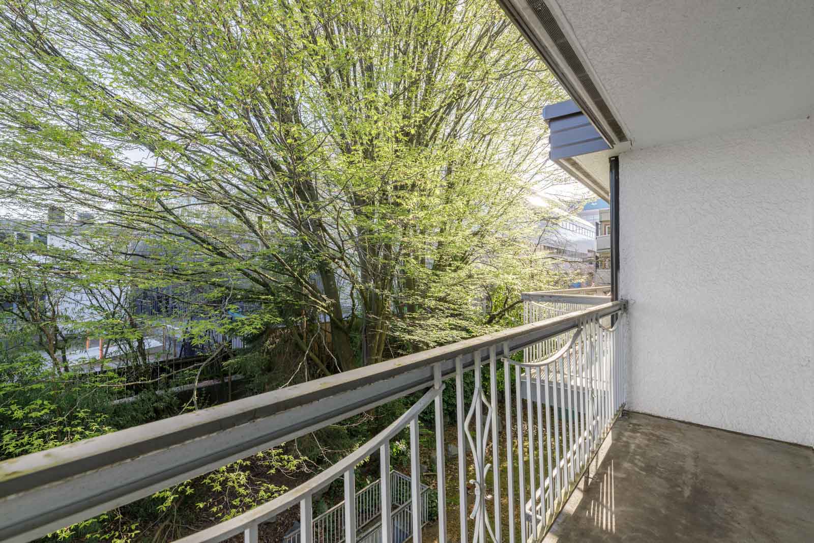 A view from a balcony with a metal railing, overlooking a large tree with green leaves and neighboring buildings in the background.