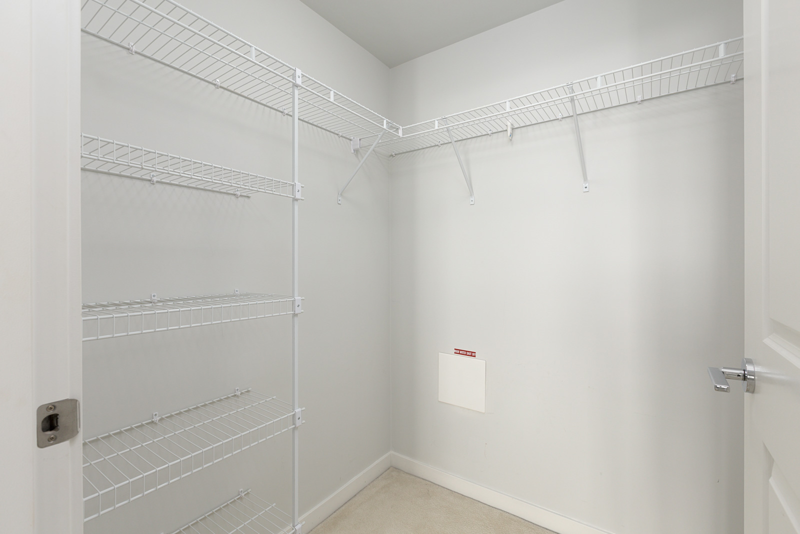 Empty walk-in closet with white wire shelves on two walls, beige carpeted floor, and white walls.