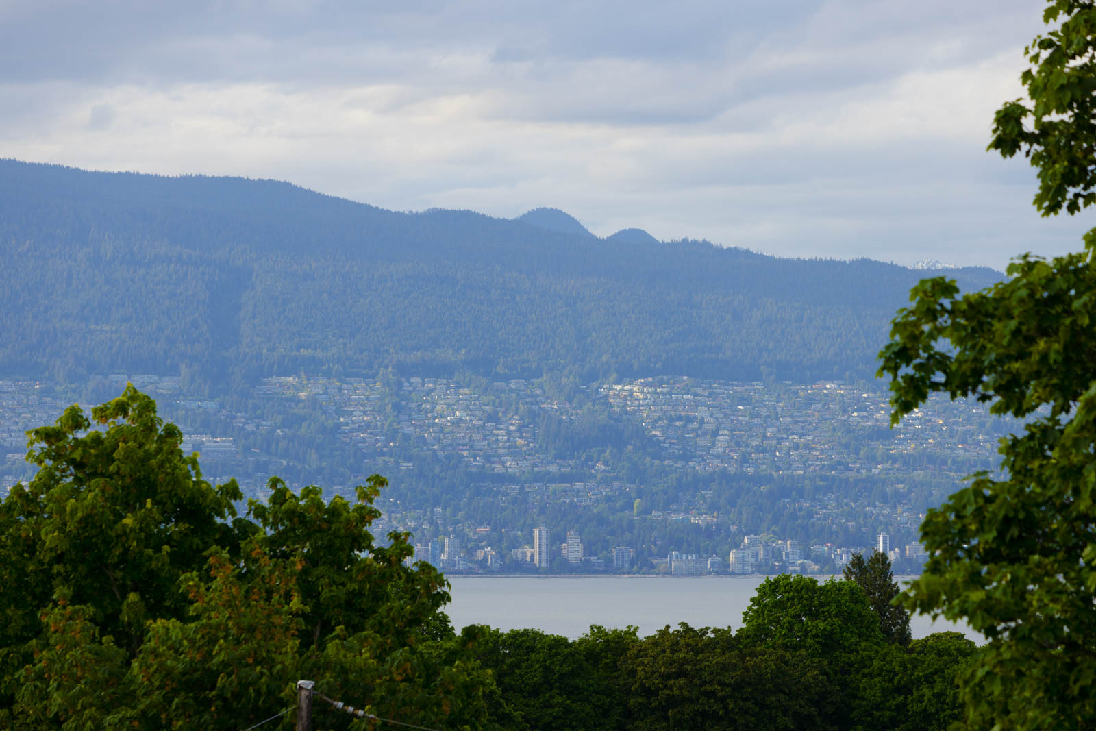 A cityscape with tall buildings and houses at the base of a forested mountain, partly obscured by trees in the foreground under a cloudy sky.