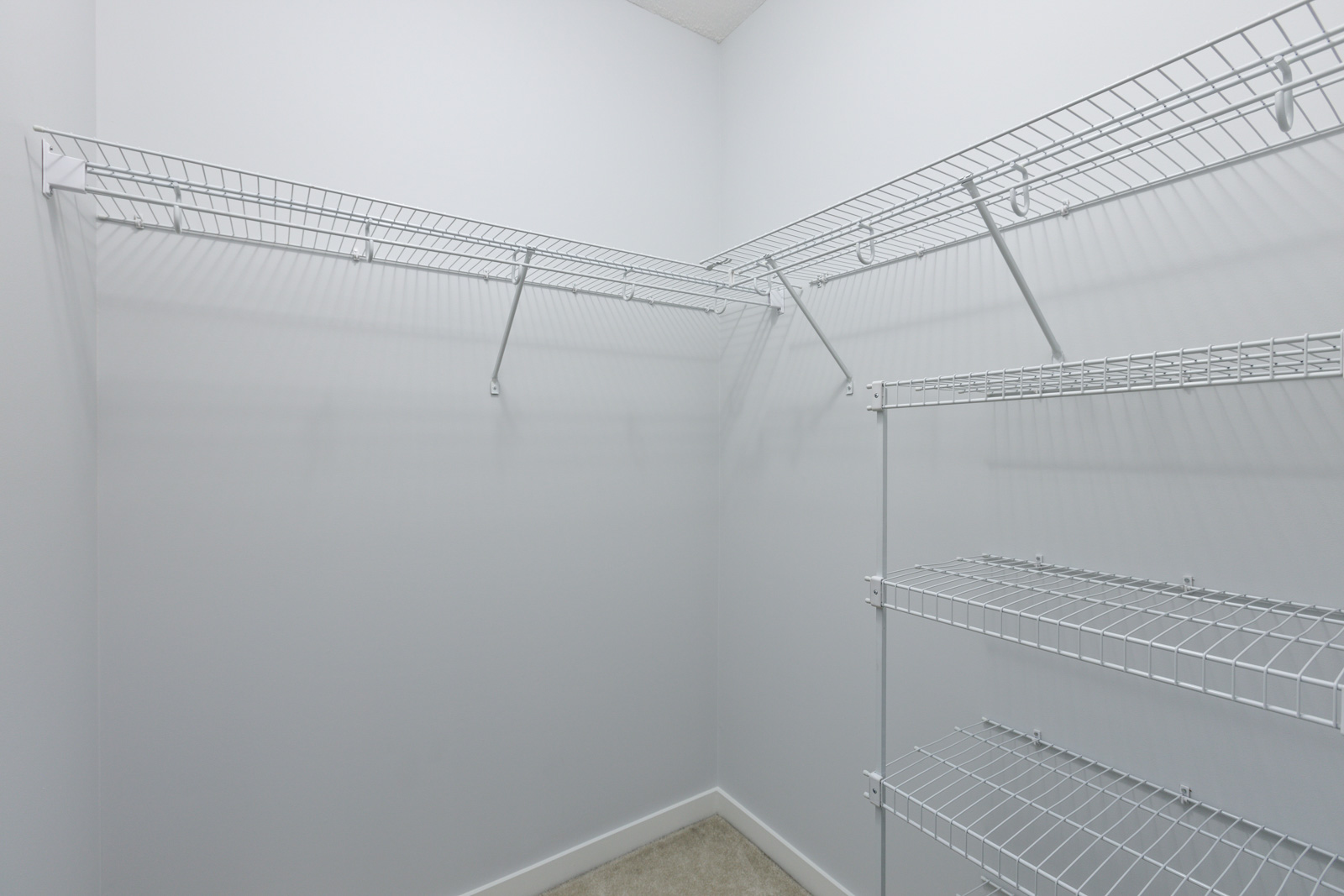 Empty walk-in closet with white wire shelving units mounted on two walls and carpeted flooring.