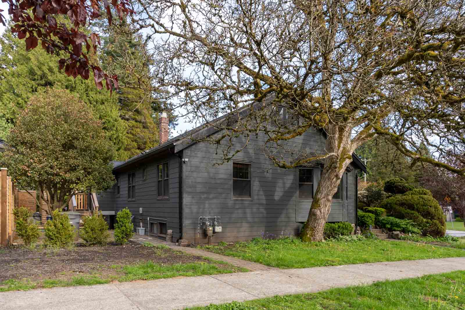 A single-story dark gray house with a large tree in front, set alongside a sidewalk and surrounded by greenery.