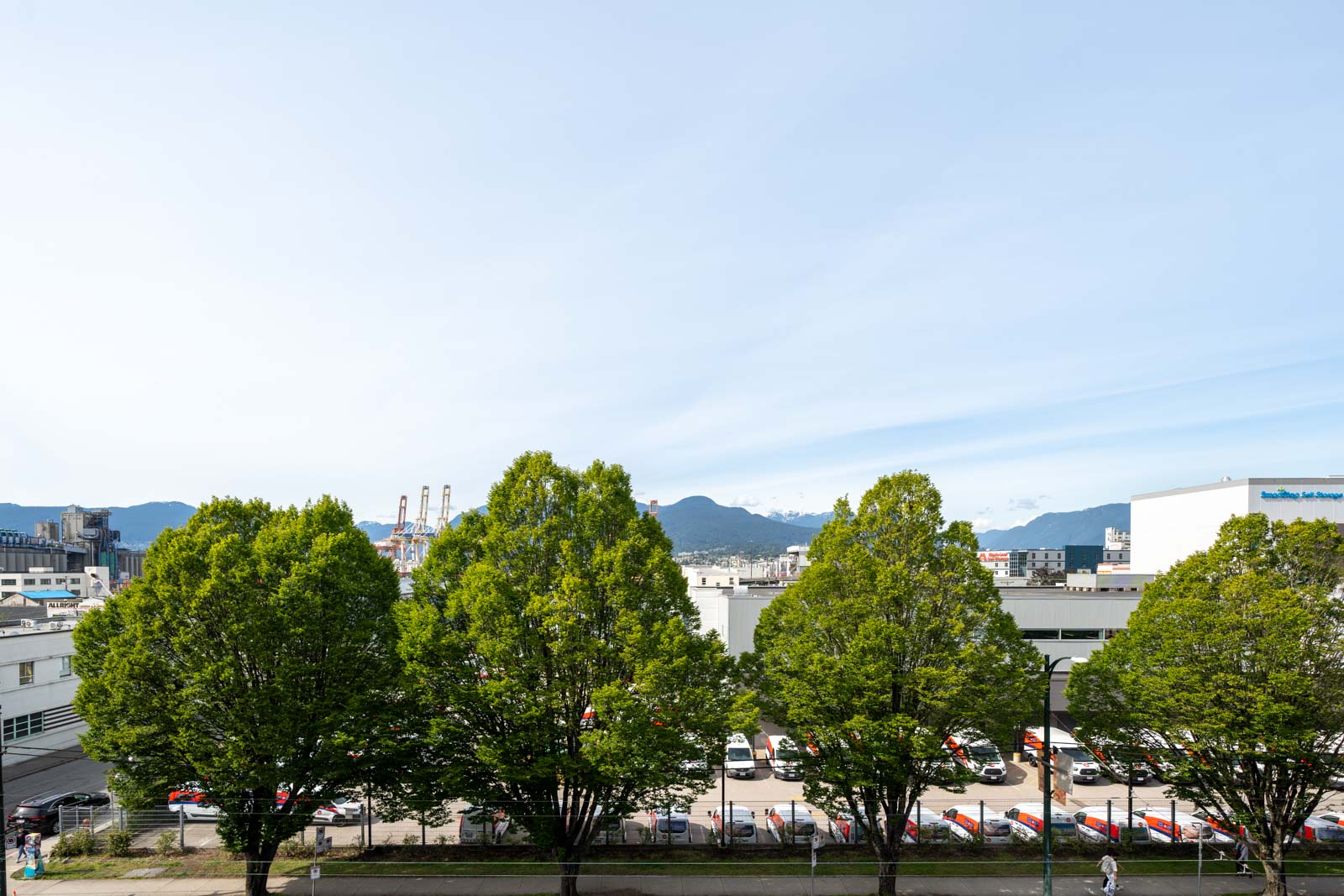 A row of green trees lines a street in front of a parking lot with cars; industrial buildings and distant mountains are visible in the background under a clear sky.