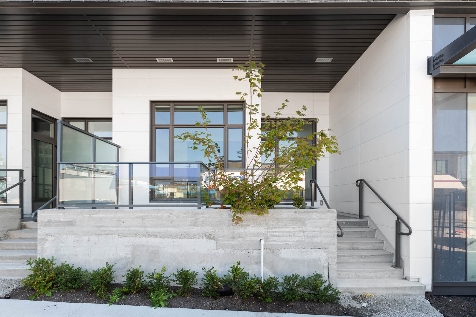 Modern building entrance with concrete steps, metal railings, glass-paneled doors, a small landscaped area, and a young tree in front.