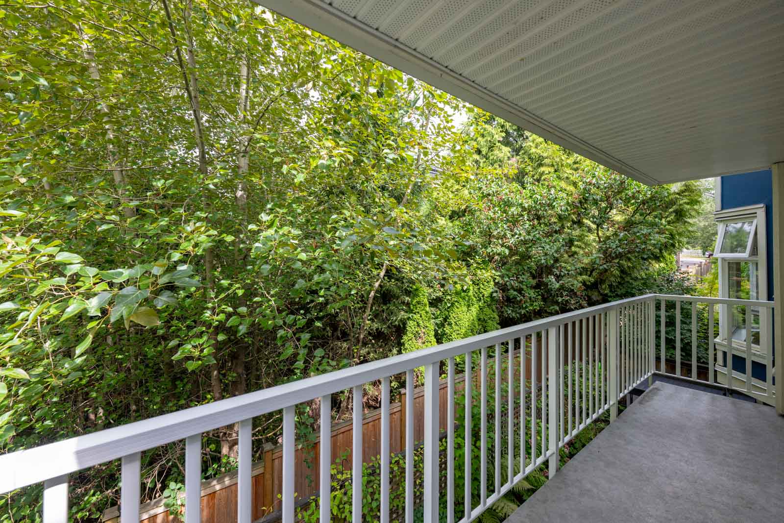 A covered balcony with a white railing overlooks dense green trees and foliage in a backyard.