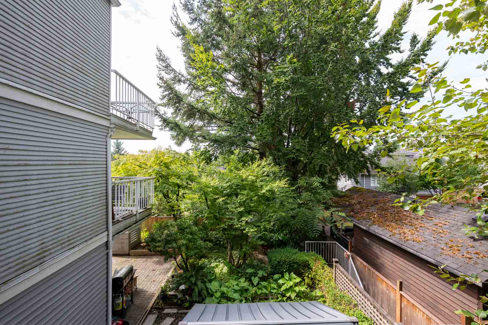 View of a backyard with a patio, lush green trees, a gray-sided house on the left, and a wooden shed with a leaf-covered roof on the right.