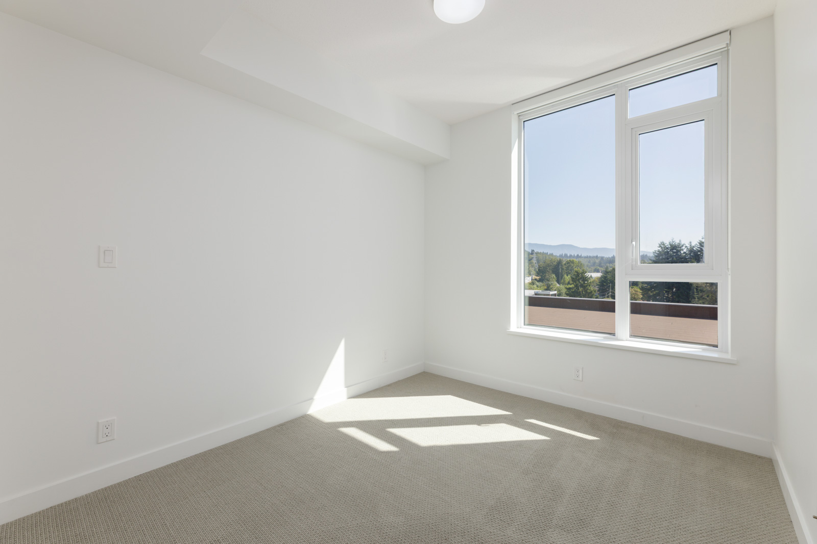 Empty room with white walls, beige carpet, and a large window letting in natural light with a view of trees and distant hills.