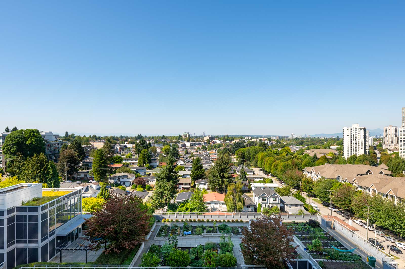 A wide-angle view of a suburban neighborhood with houses, green trees, rooftop gardens, and a clear blue sky.