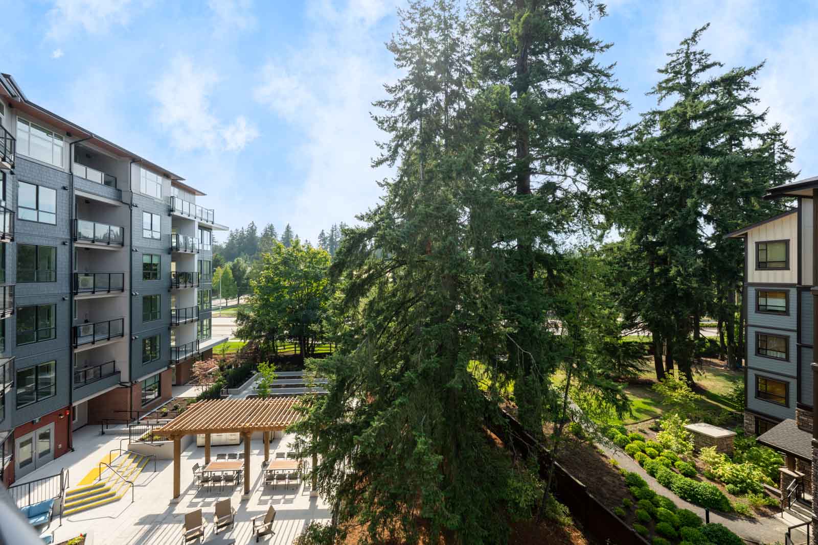 View of an apartment complex courtyard with outdoor seating, a pergola, and tall evergreen trees surrounded by landscaping on a sunny day.