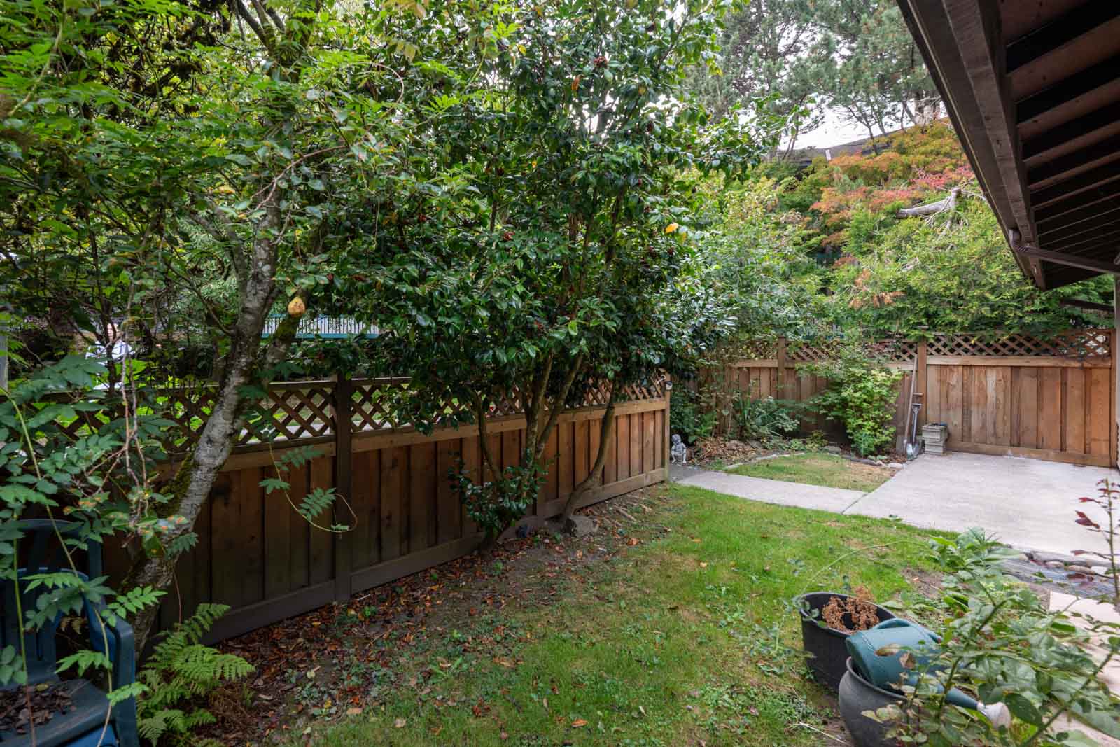 Small backyard with a wooden fence, green trees, patches of grass, a concrete patio, and a black planter near the fence.