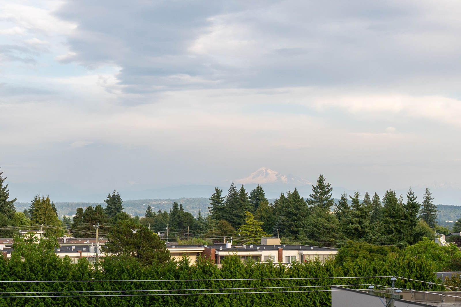 A mountain peak is visible in the distance above a suburban neighborhood with trees and power lines in the foreground under a cloudy sky.
