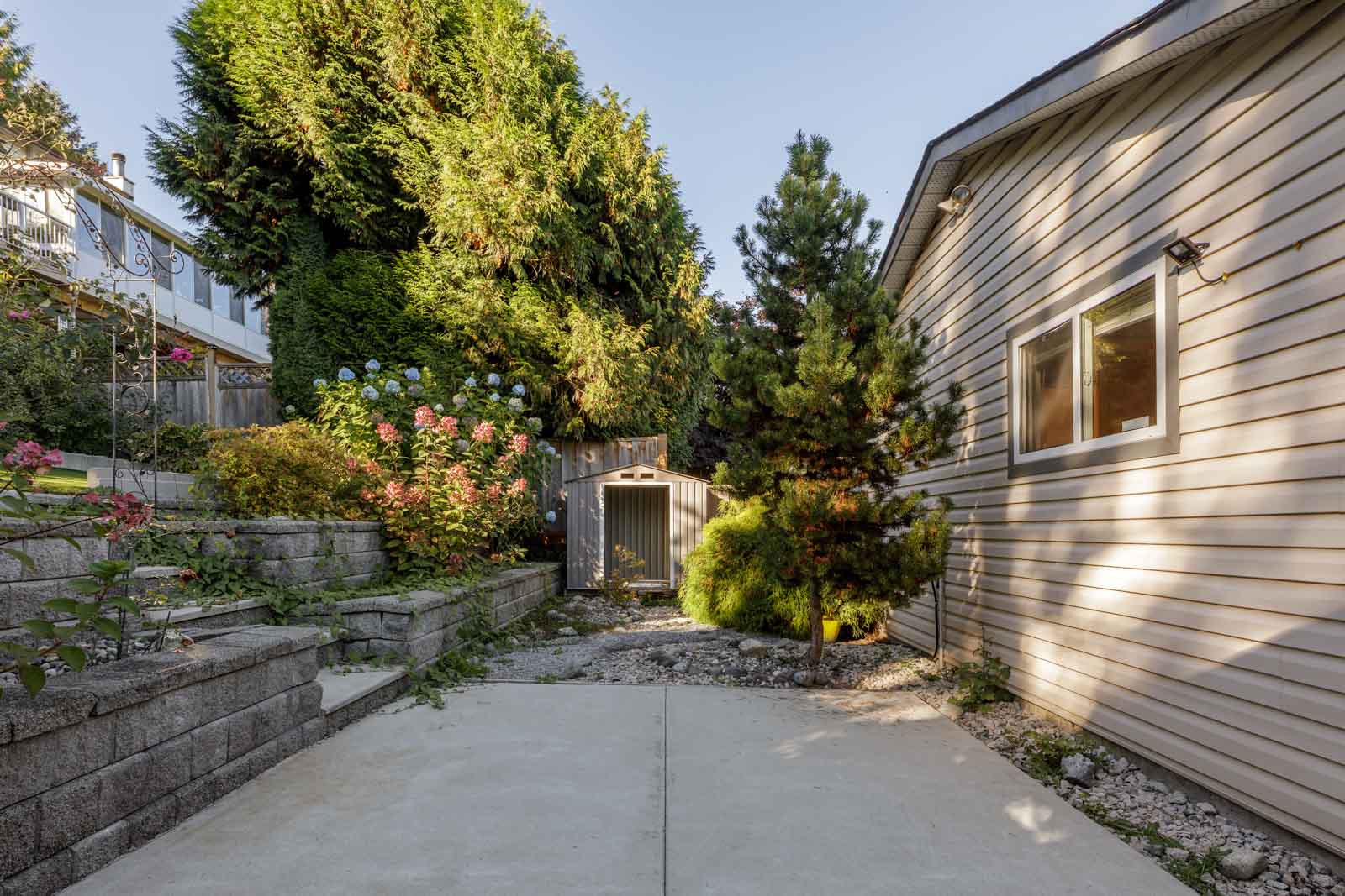 Concrete patio beside a house with a retaining wall, flowering bushes, a small tree, and a metal garden shed in the background.