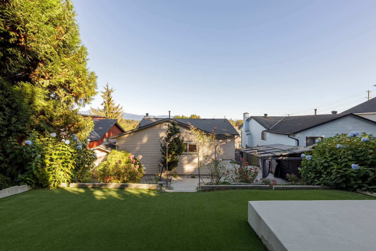 A backyard with artificial grass, concrete steps, flowering bushes, and a view of neighboring houses under a clear sky.