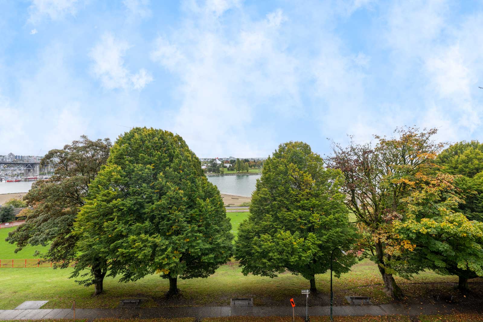 A group of trees next to a lake.