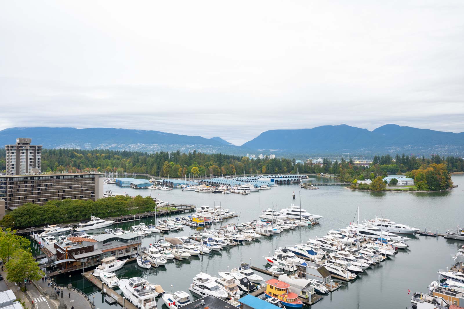 A marina filled with boats and yachts, surrounded by trees and buildings, with mountains in the background under a cloudy sky.