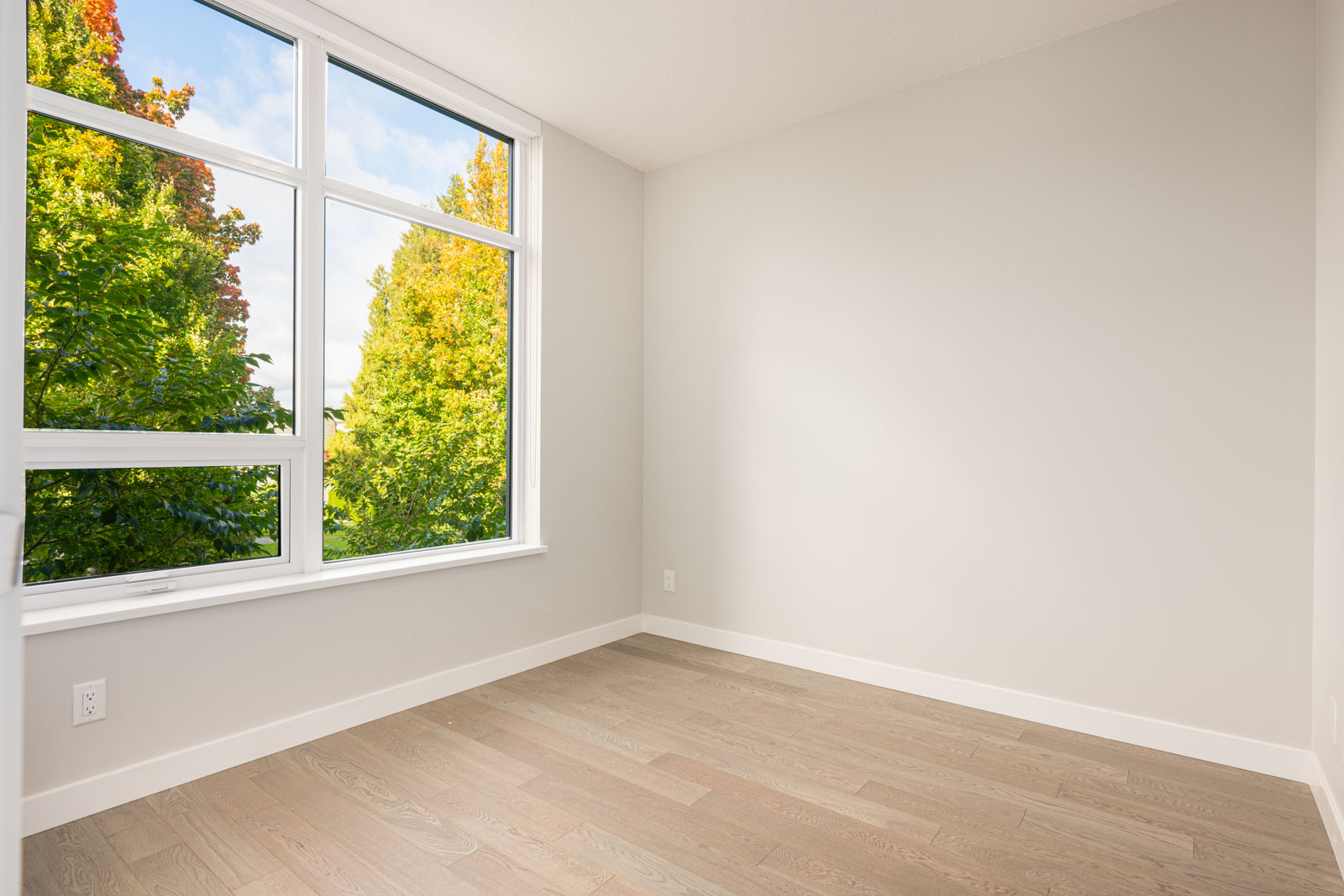 Empty, light-filled room with light wood flooring, white walls, and a large window showing green trees outside.