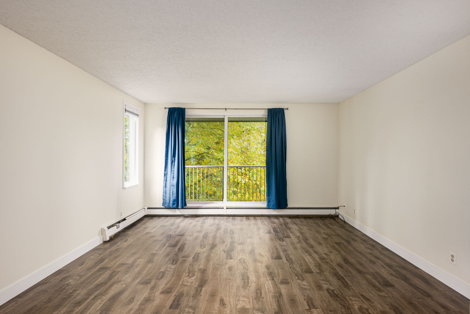 Empty room with wood flooring, white walls, and large window with blue curtains showing green trees outside.