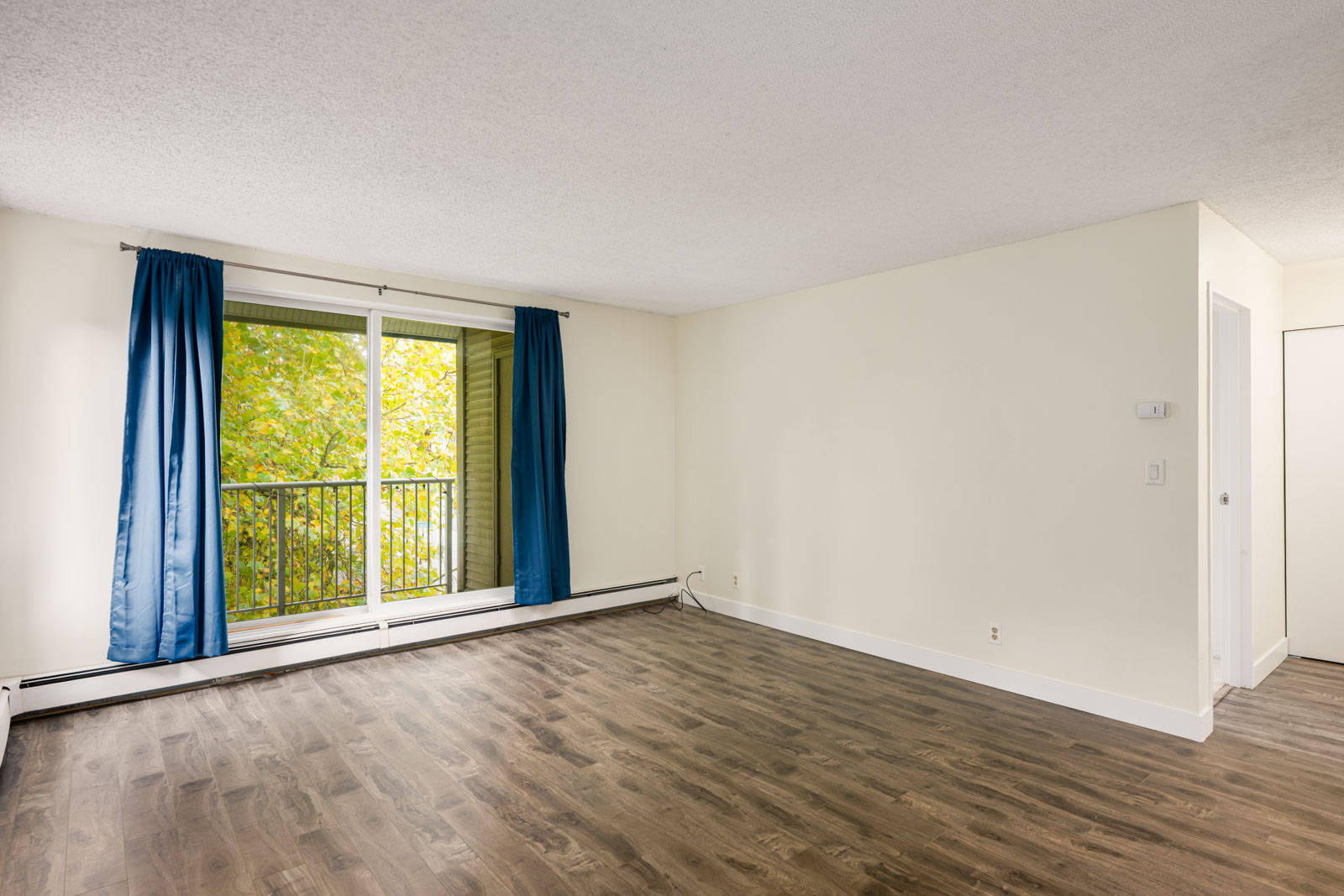 Empty room with wood flooring, white walls, a sliding glass door with blue curtains, and a view of trees outside.