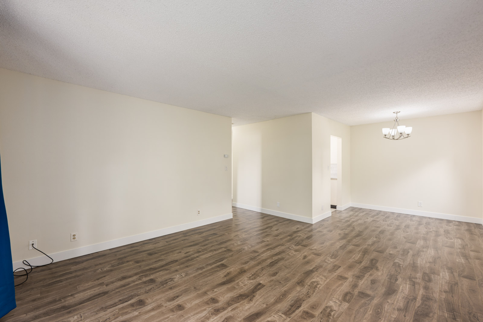 Unfurnished room with light beige walls, wood-style flooring, a ceiling light fixture, and minimal visible electrical outlets.