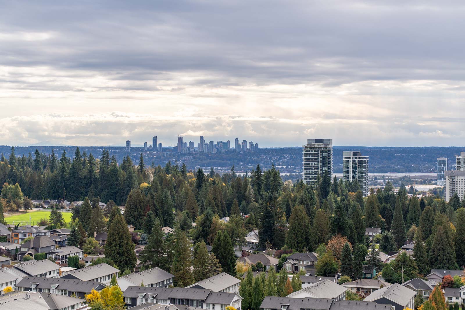 View of a suburban neighborhood with tree-lined streets in the foreground and a city skyline visible in the distance under a cloudy sky.