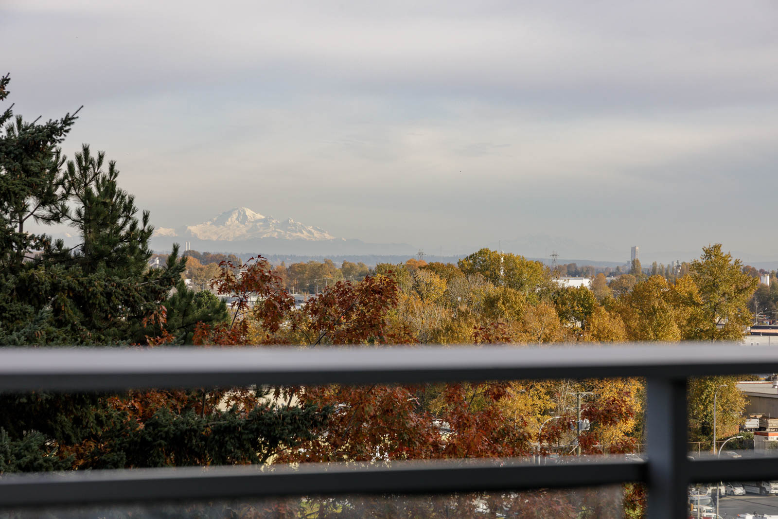 Distant snow-capped mountain under a cloudy sky, with autumn trees and a metal railing in the foreground.