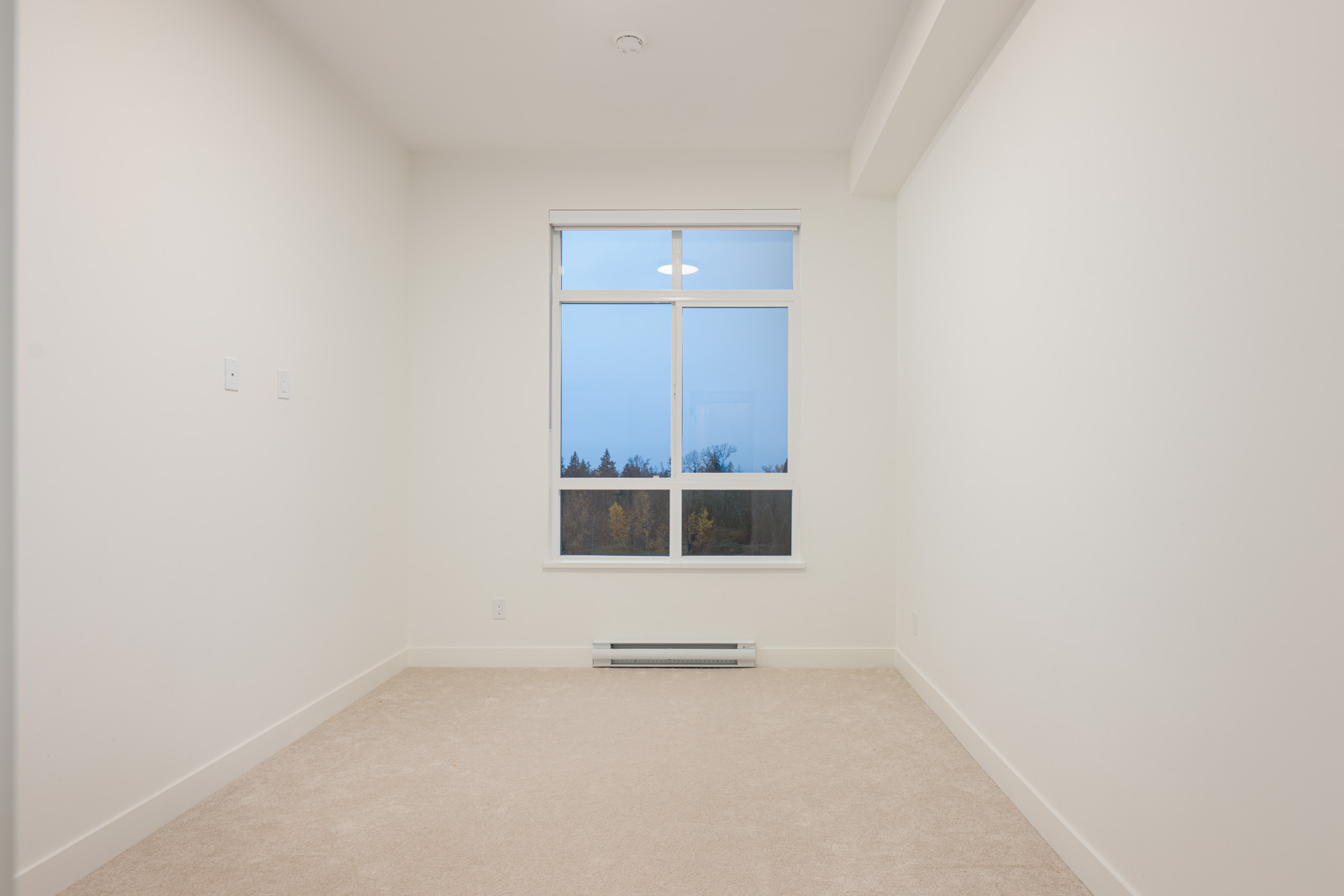 Empty room with beige carpet, white walls, and a large window showing an outdoor view with trees and a blue sky.