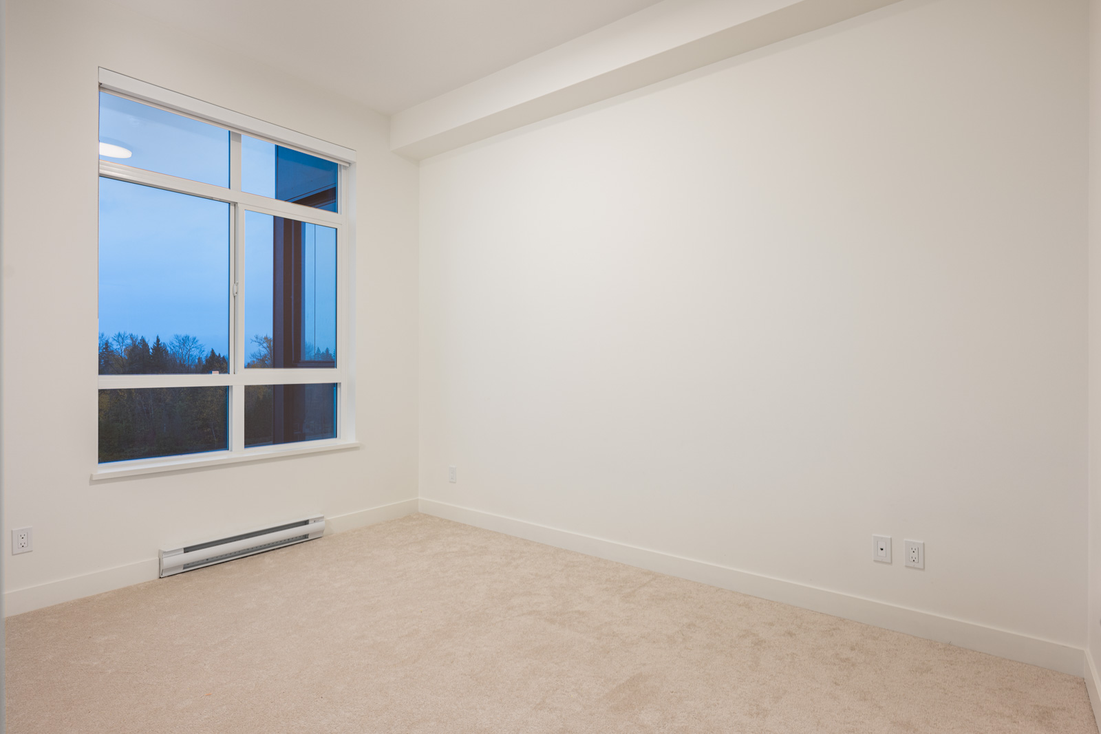 Empty room with beige carpet, white walls, and a large window showing an outdoor view. Electrical outlets and a baseboard heater are visible along the walls.
