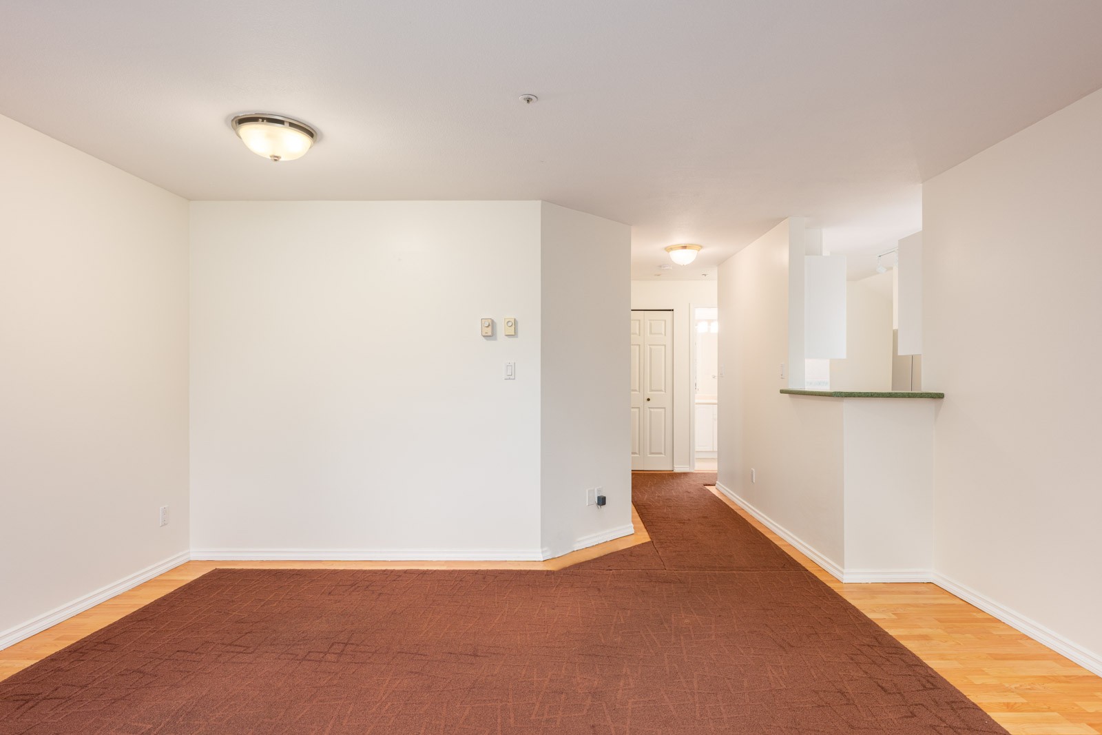 Empty room with white walls, brown carpet, and hardwood flooring; two ceiling lights and a small bar counter visible near a hallway leading to a white door.