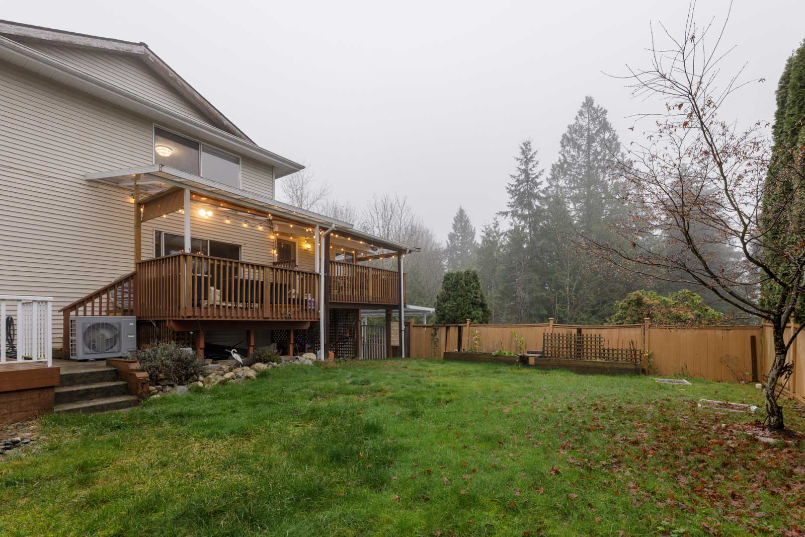 A backyard with a grassy lawn, a wooden deck with string lights, a fenced perimeter, and trees in the background on a foggy day.
