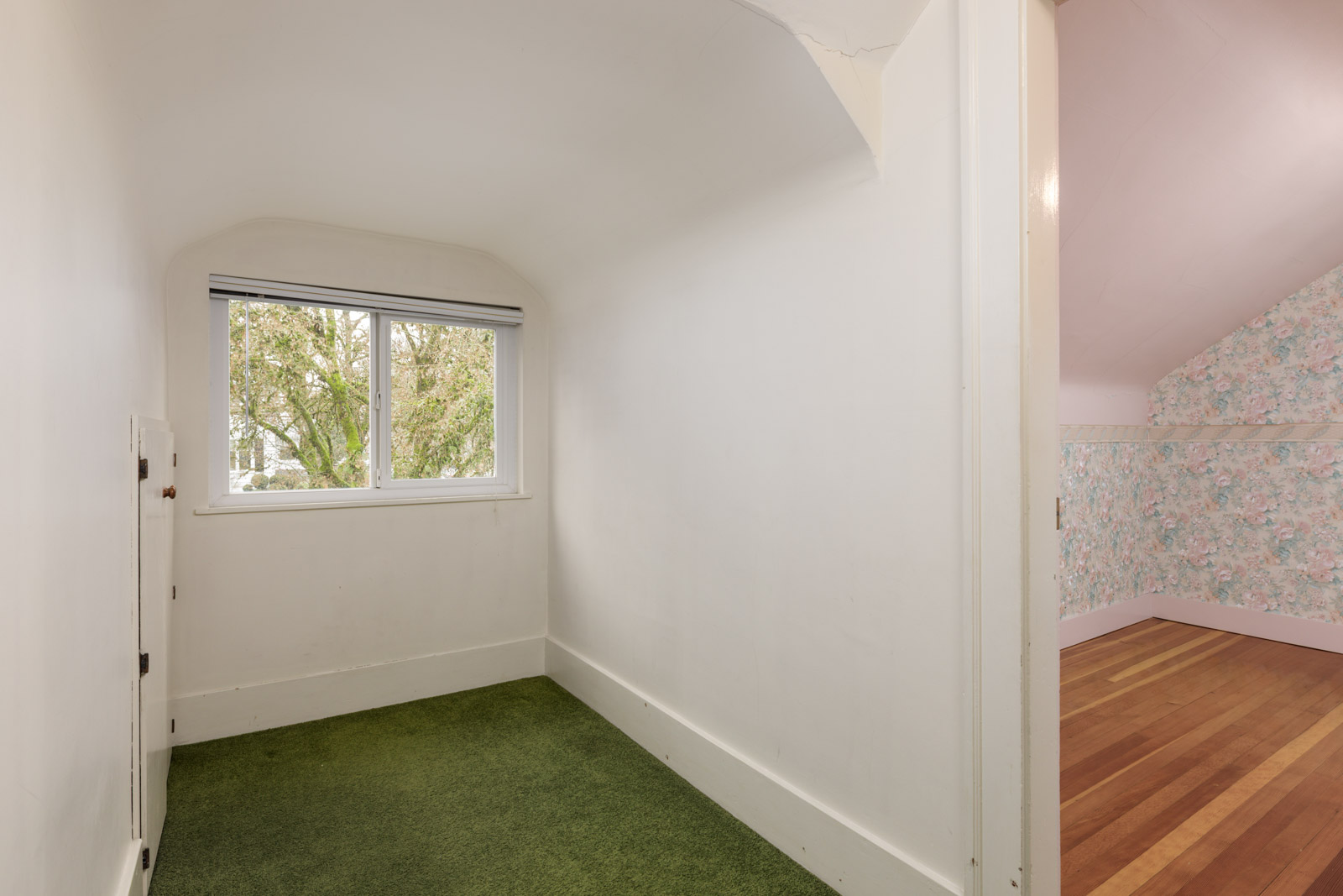 A small, narrow white room with green carpet, a window facing trees, and an open doorway leading to a room with floral wallpaper and wood flooring.