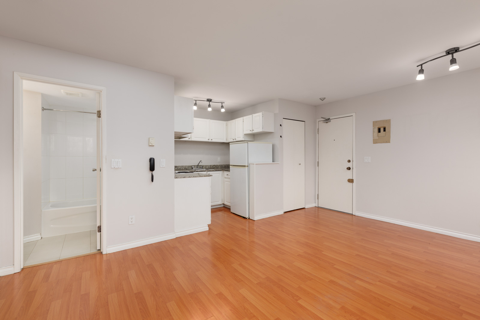 Small apartment interior with wood flooring, white walls, open kitchen area, entrance door, and bathroom visible through an open door.