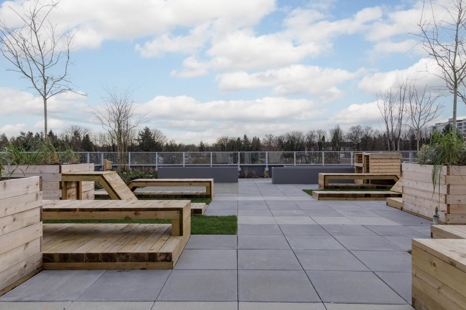 A rooftop terrace with wooden benches and planters, large gray tiles, sparse trees, and a metal fence, set against a backdrop of trees and a cloudy sky.