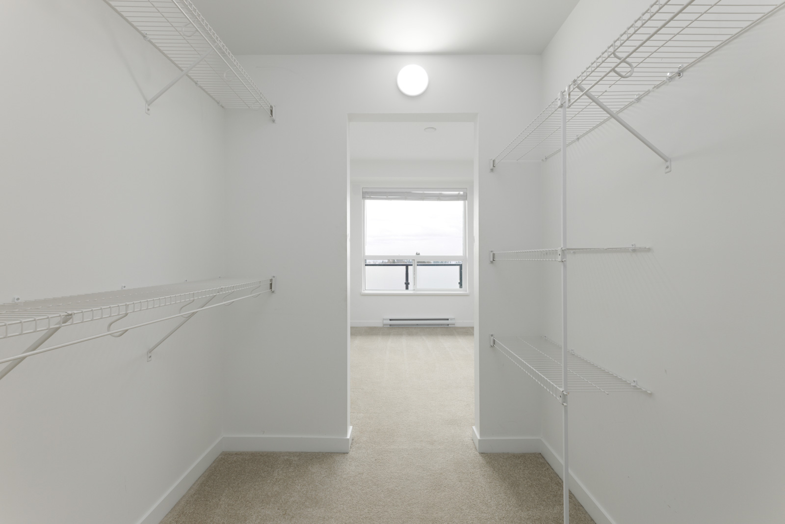 Empty walk-in closet with white wire shelves on both sides, beige carpet flooring, and a doorway leading to a bright room with a large window.