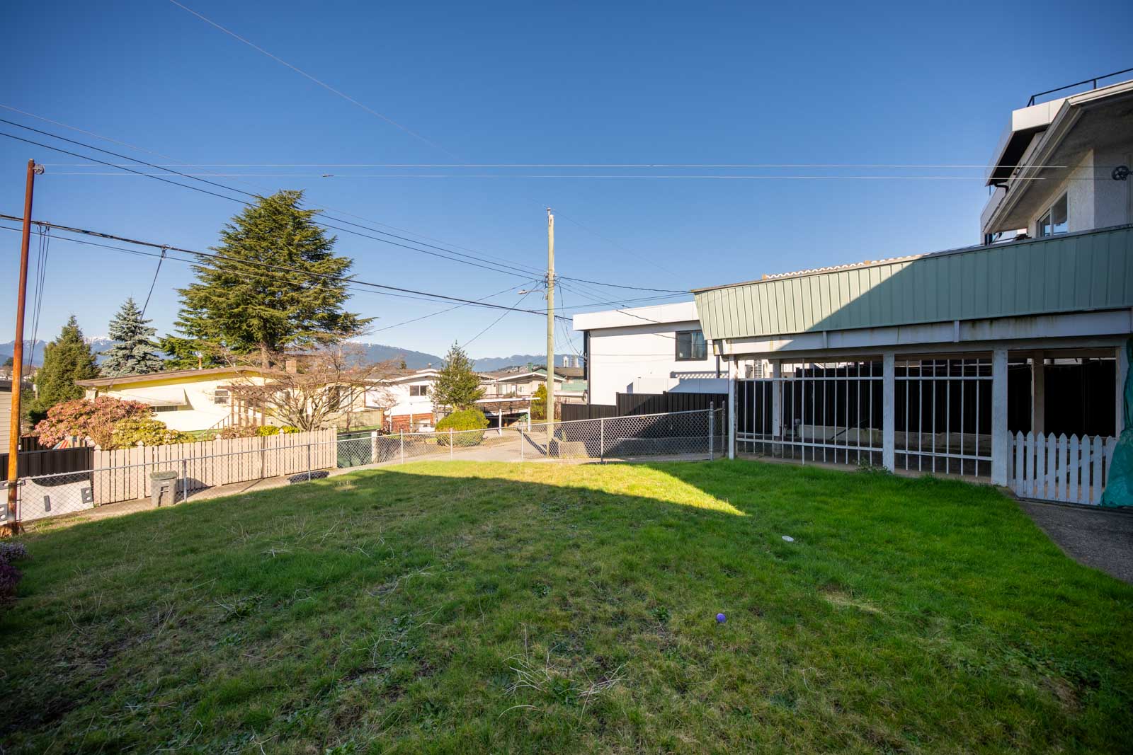 A fenced backyard with green grass, bordered by houses and trees under a clear blue sky, with utility poles and wires visible.