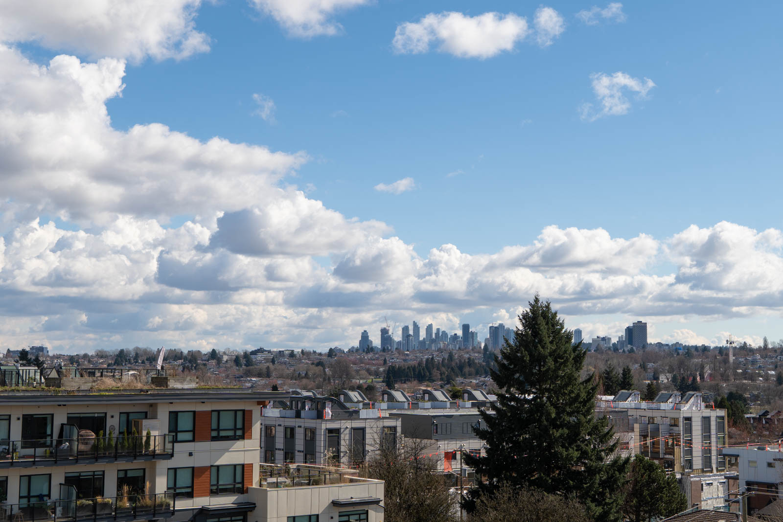 Urban skyline in the distance under a partly cloudy sky, with low-rise residential buildings and trees in the foreground.