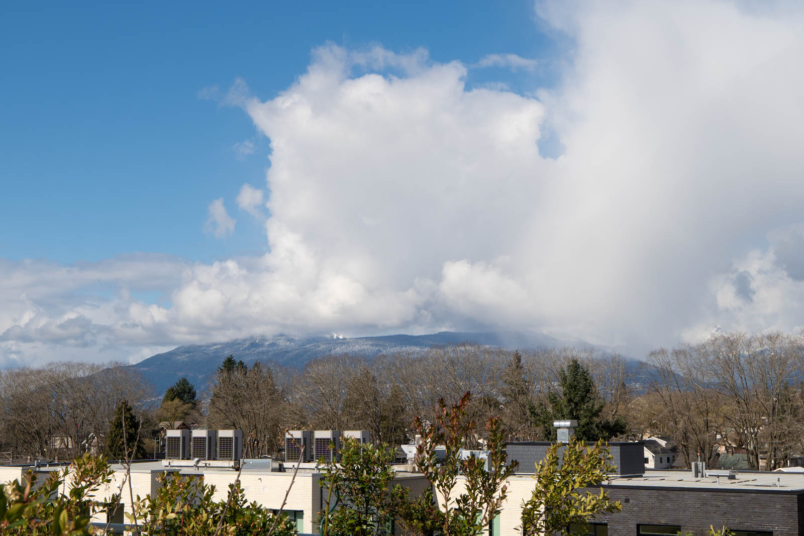 Rooftops and trees in the foreground with a mountain partially covered by clouds under a blue sky.