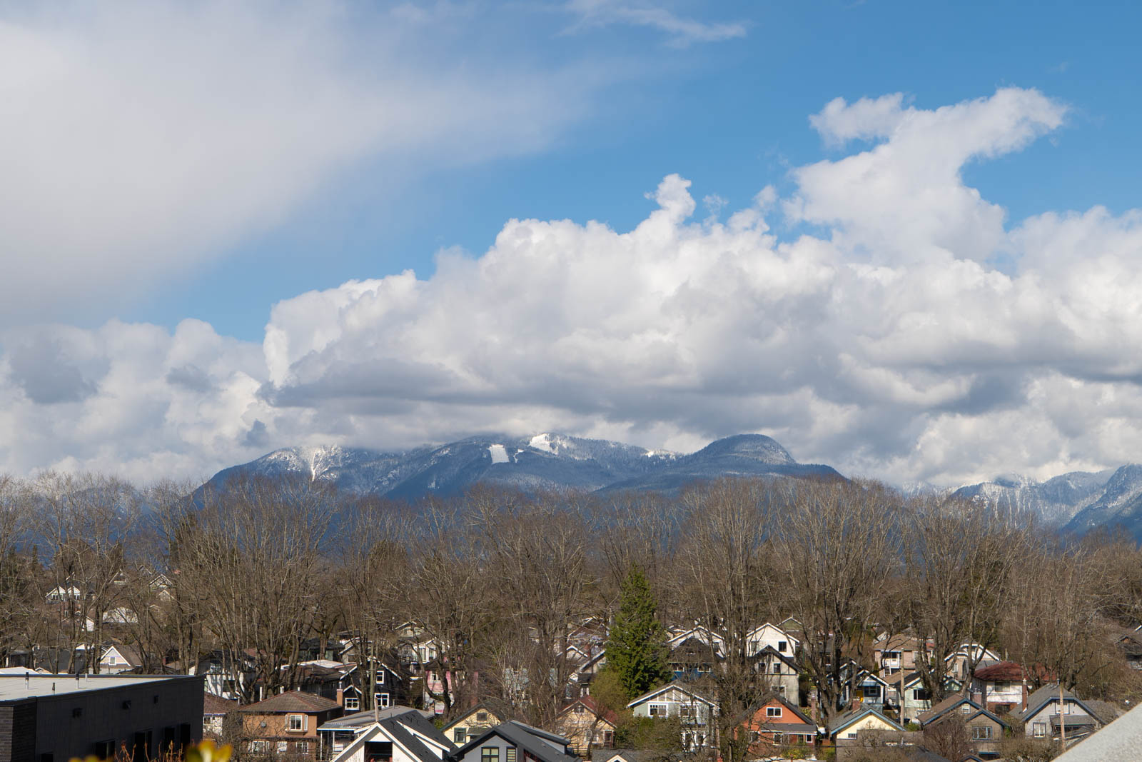 A residential neighborhood with leafless trees in the foreground and snow-capped mountains under a blue sky with clouds in the background.