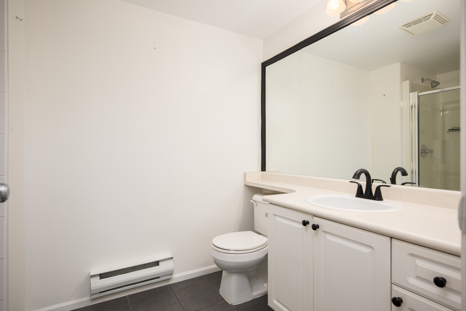 A bathroom with white walls, a large mirror above a countertop with a sink, white cabinets, a toilet, and a glass shower in the background.