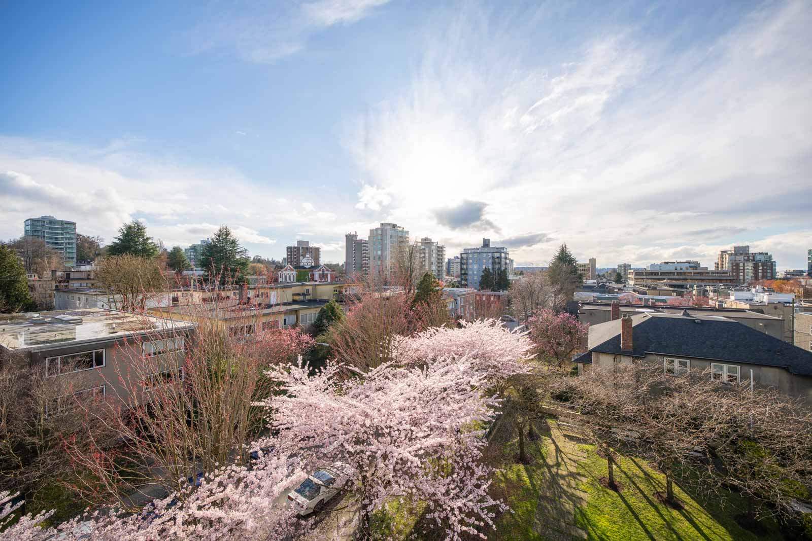 A cityscape with blooming cherry blossom trees in the foreground, residential buildings, and a bright partly cloudy sky.