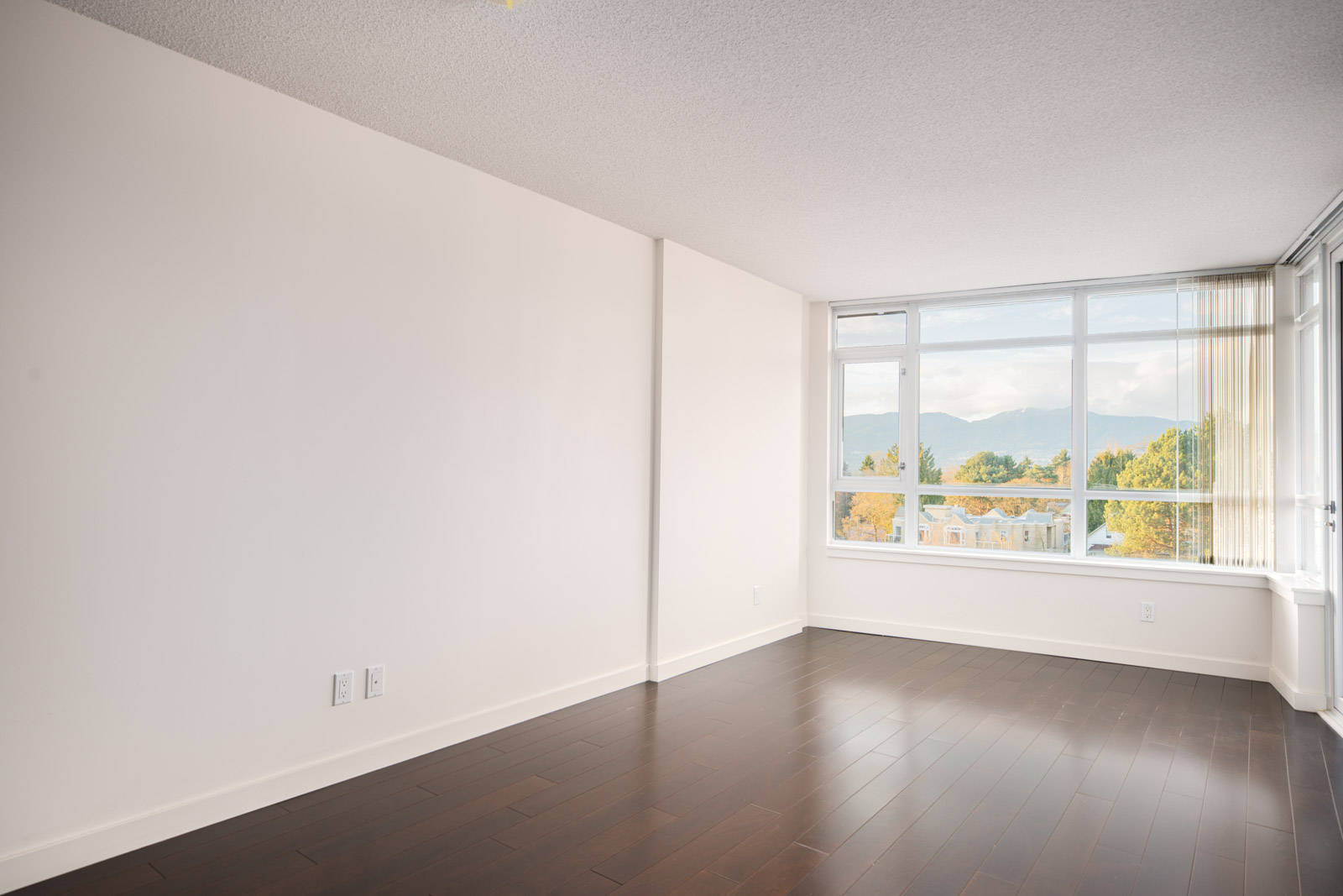 Empty room with white walls, dark wood flooring, large windows, and a view of trees and mountains outside. Natural light fills the space.