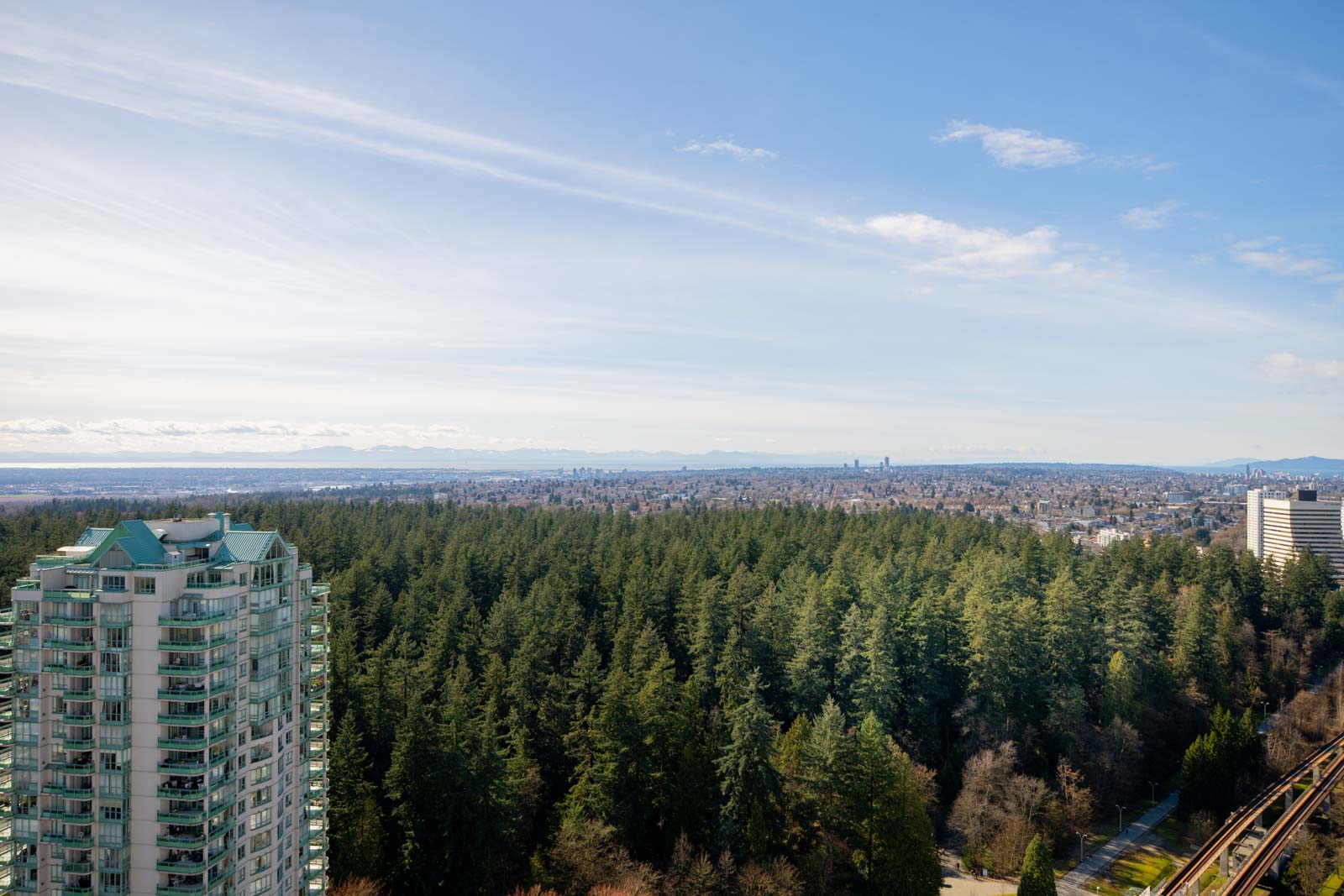 A high-rise building stands next to a dense forest, with a cityscape and distant mountains visible under a blue sky.