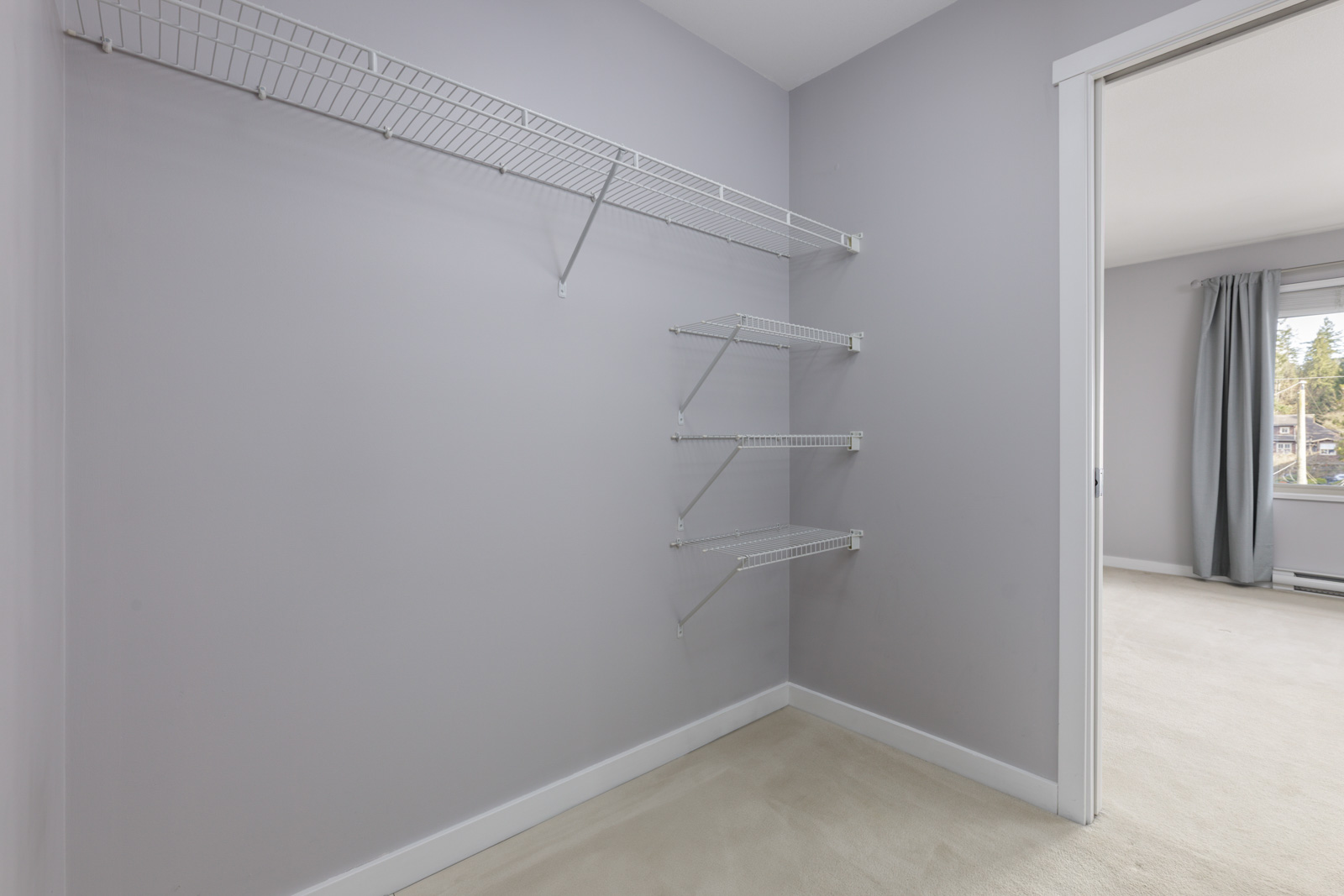 Empty walk-in closet with light gray walls, white trim, and multiple white wire shelves; adjacent room with a window and light-colored carpet visible.