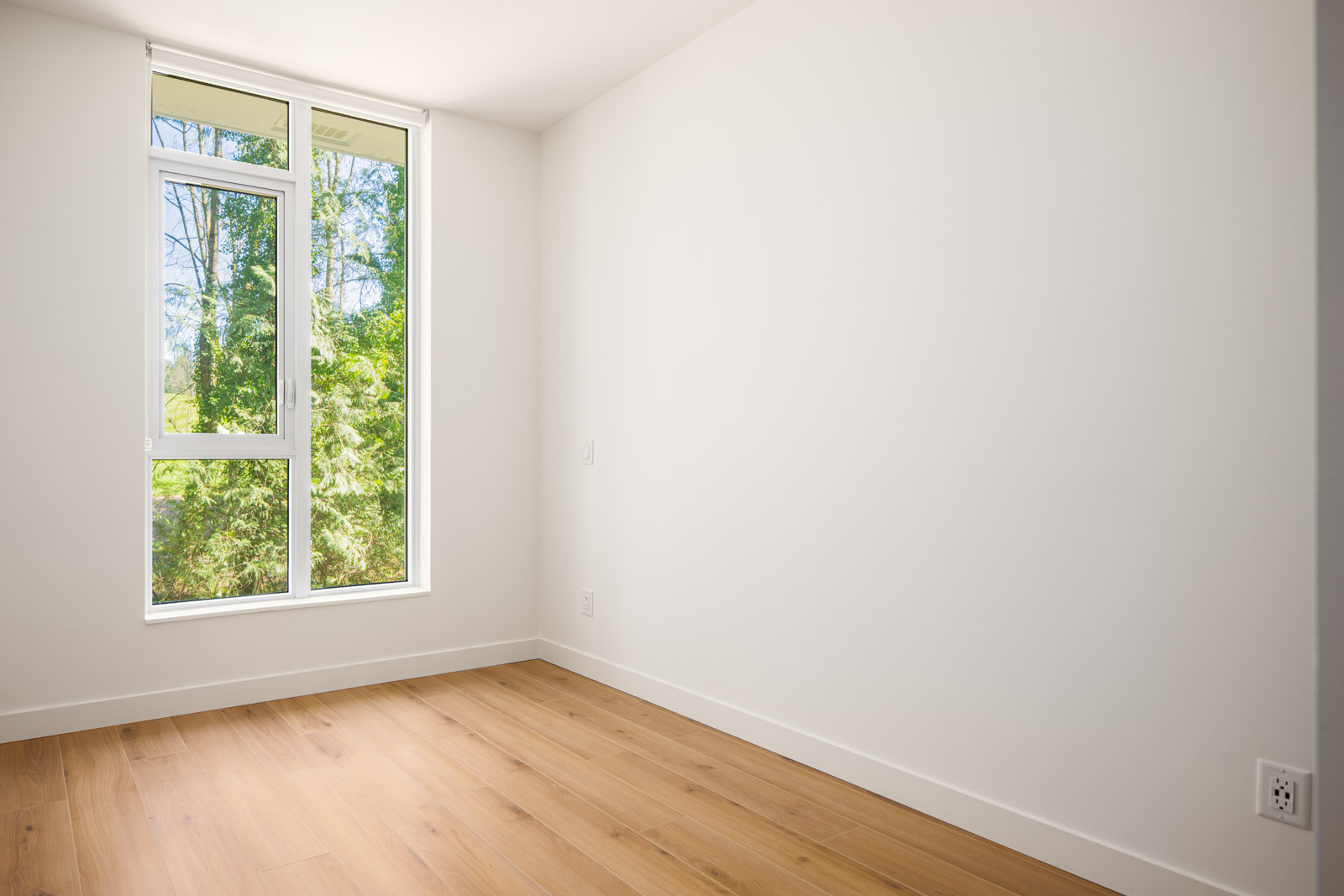 A small, empty room with white walls, light wood flooring, and a tall window showing green trees outside.