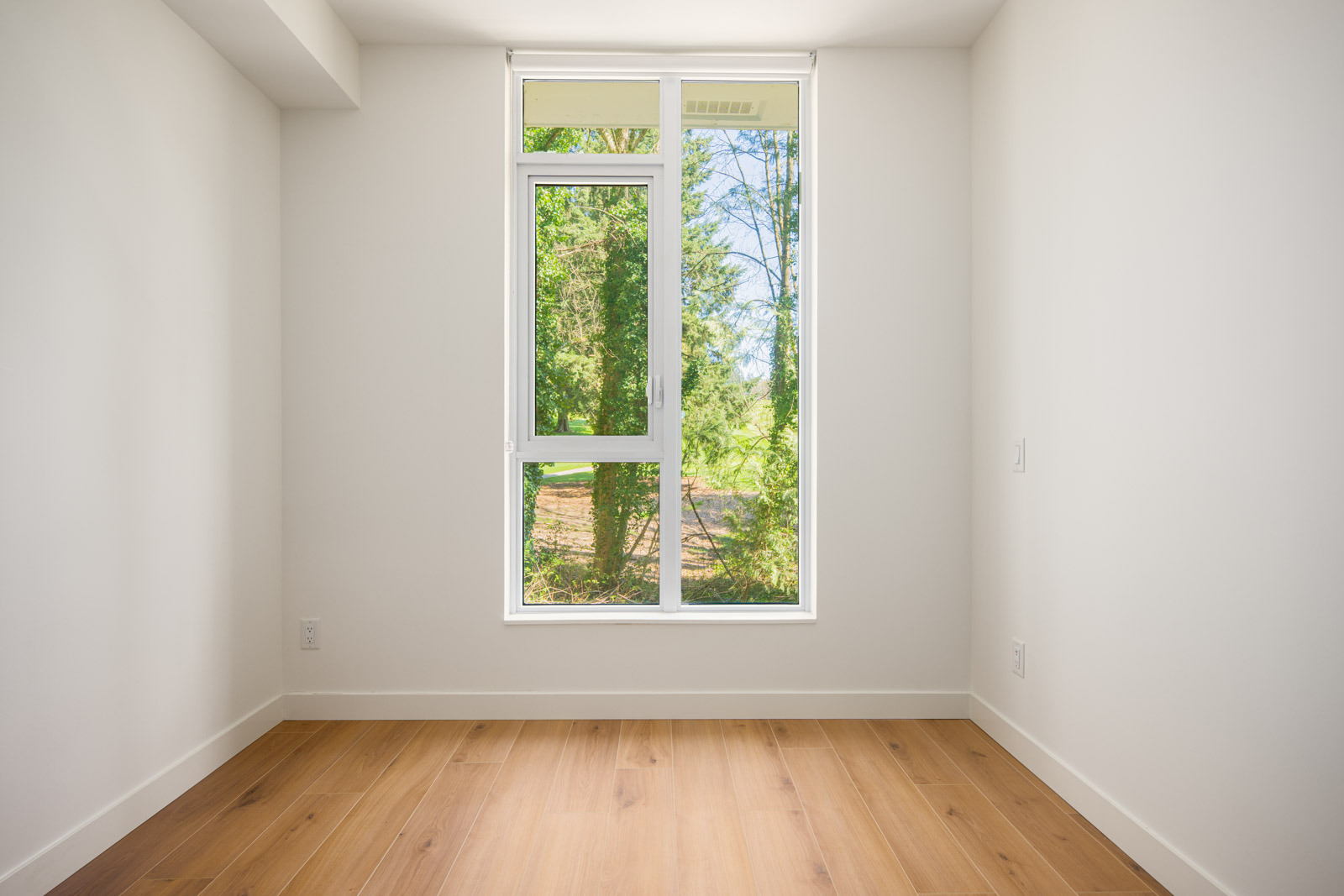 Empty room with light-colored walls, wood flooring, and a large window offering a view of green trees and bright outdoor light.