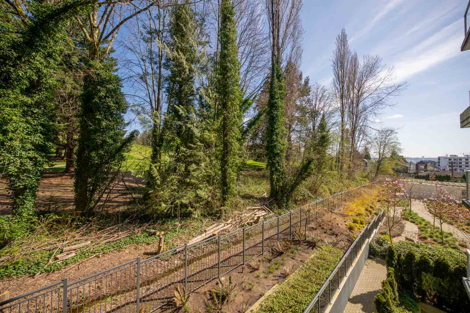 View of a fenced walkway next to a landscaped area and tall trees, with a clear sky and buildings visible in the background.